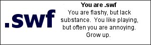 You are .swf - You are flashy, but lack substance. You like playing, but often you are annoying. Grow up.