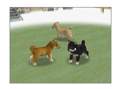 Nintendogs